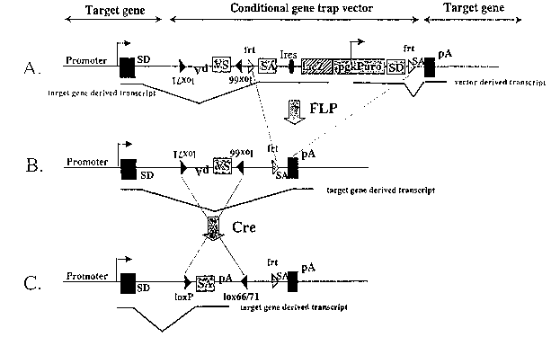 Une figure unique qui représente un dessin illustrant l'invention.